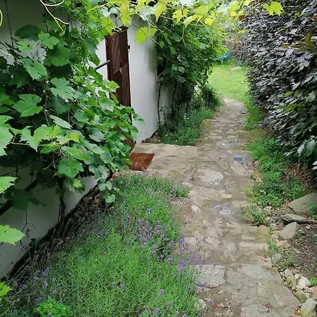 Casa vacanze U Kocourka